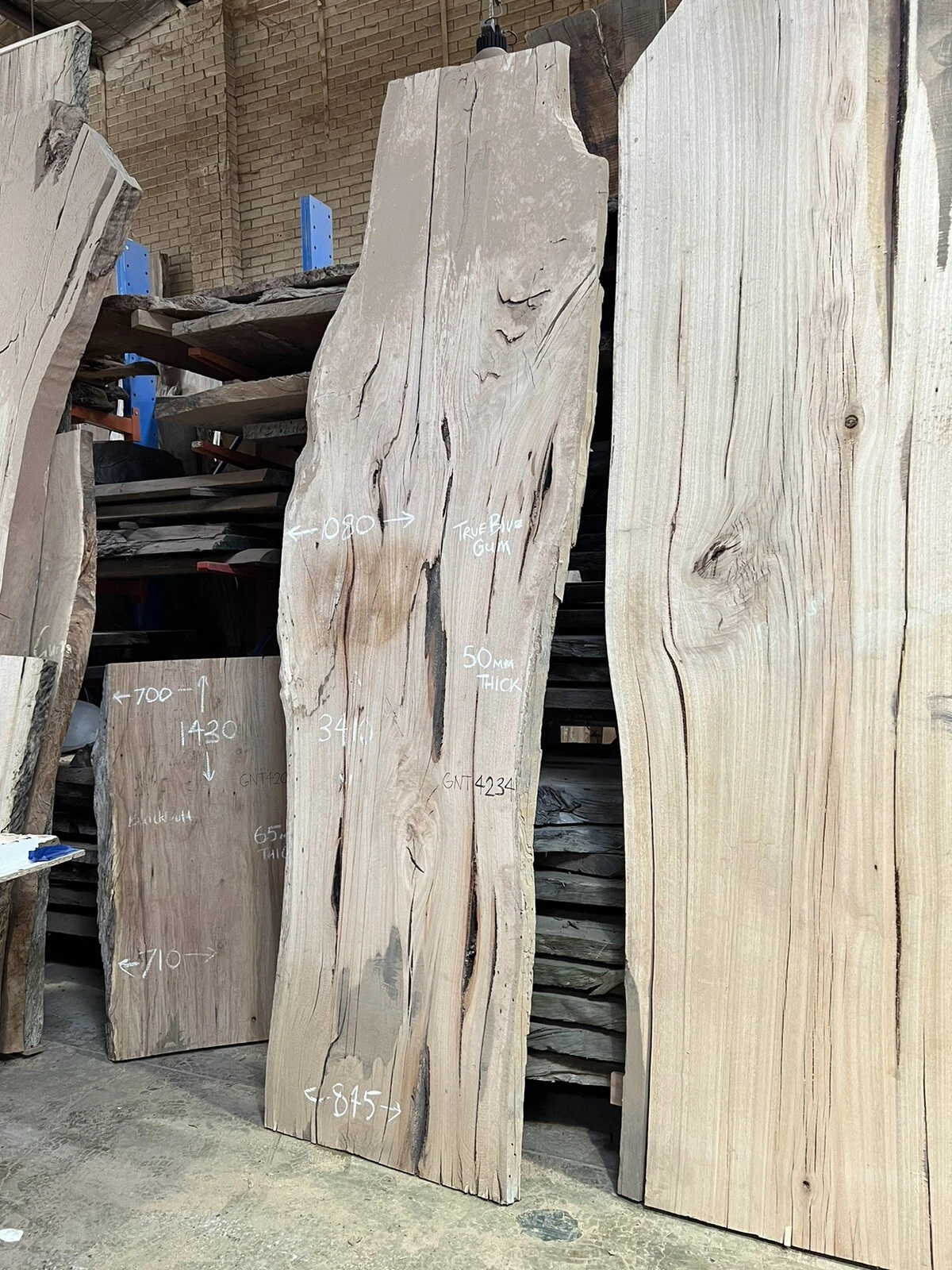 Blue Gum Timber Slab - 3.41m, GNT4234 - Image 2