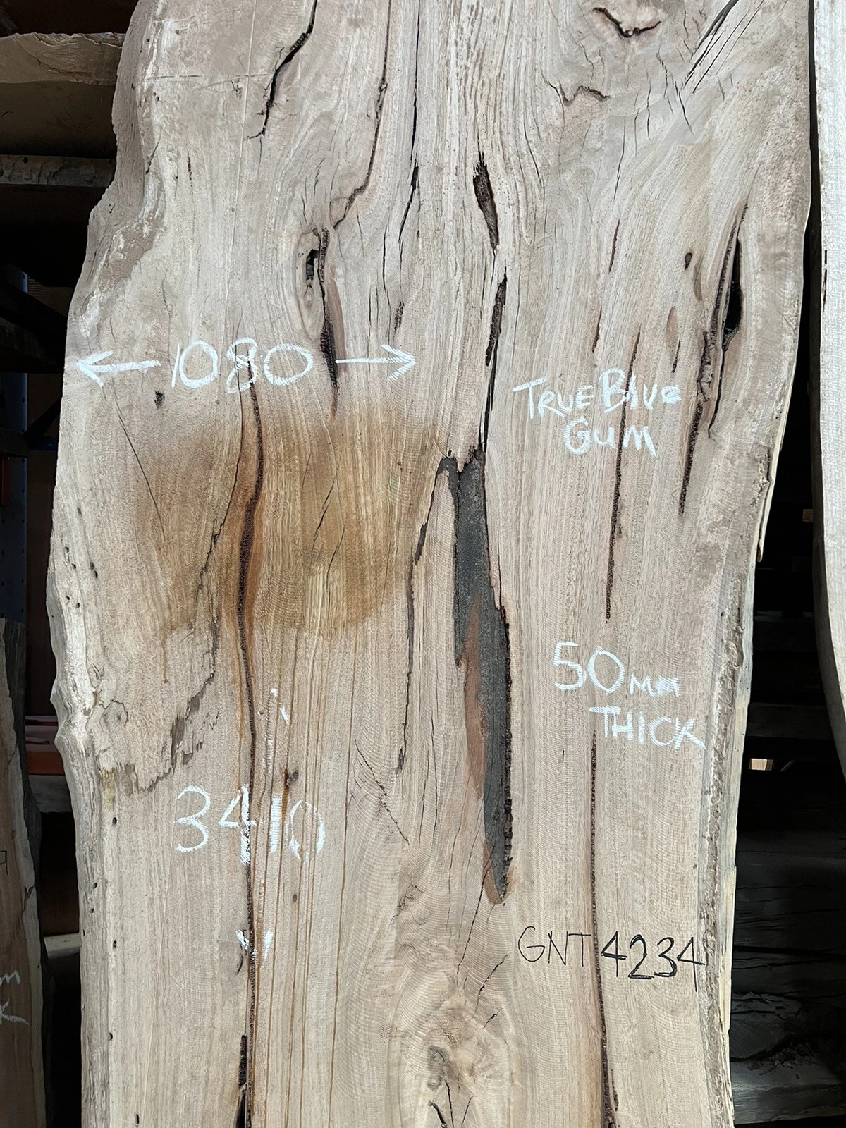 Blue Gum Timber Slab - 3.41m, GNT4234 - Image 4
