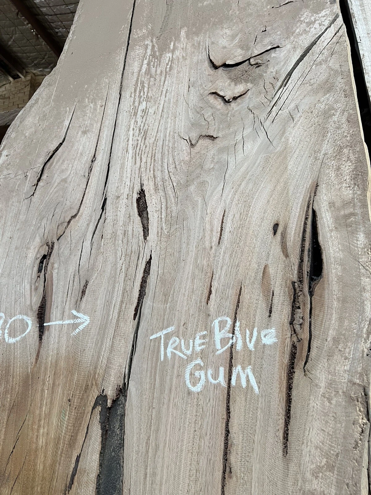 Blue Gum Timber Slab - 3.41m, GNT4234 - Image 5