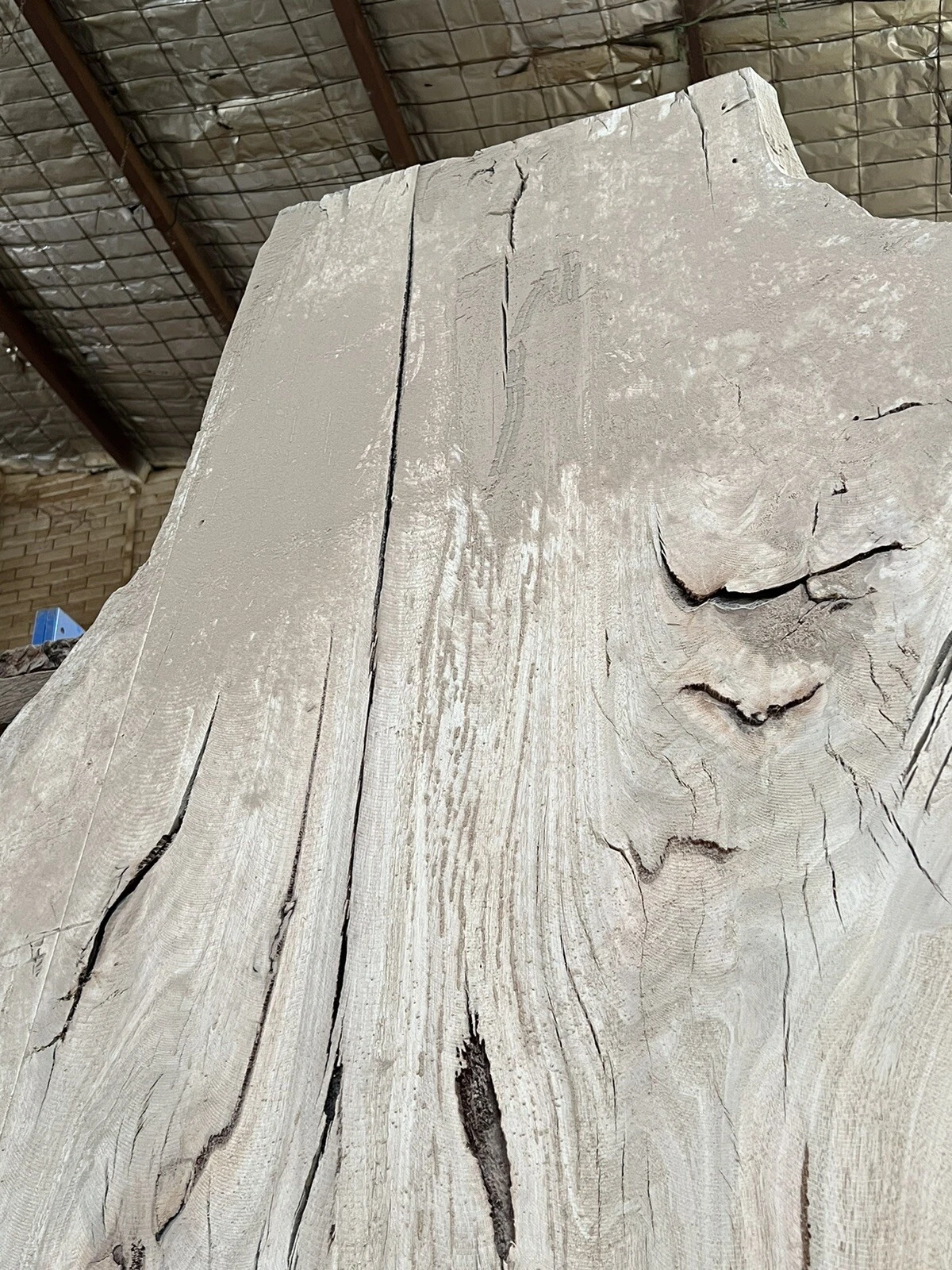Blue Gum Timber Slab - 3.41m, GNT4234 - Image 6