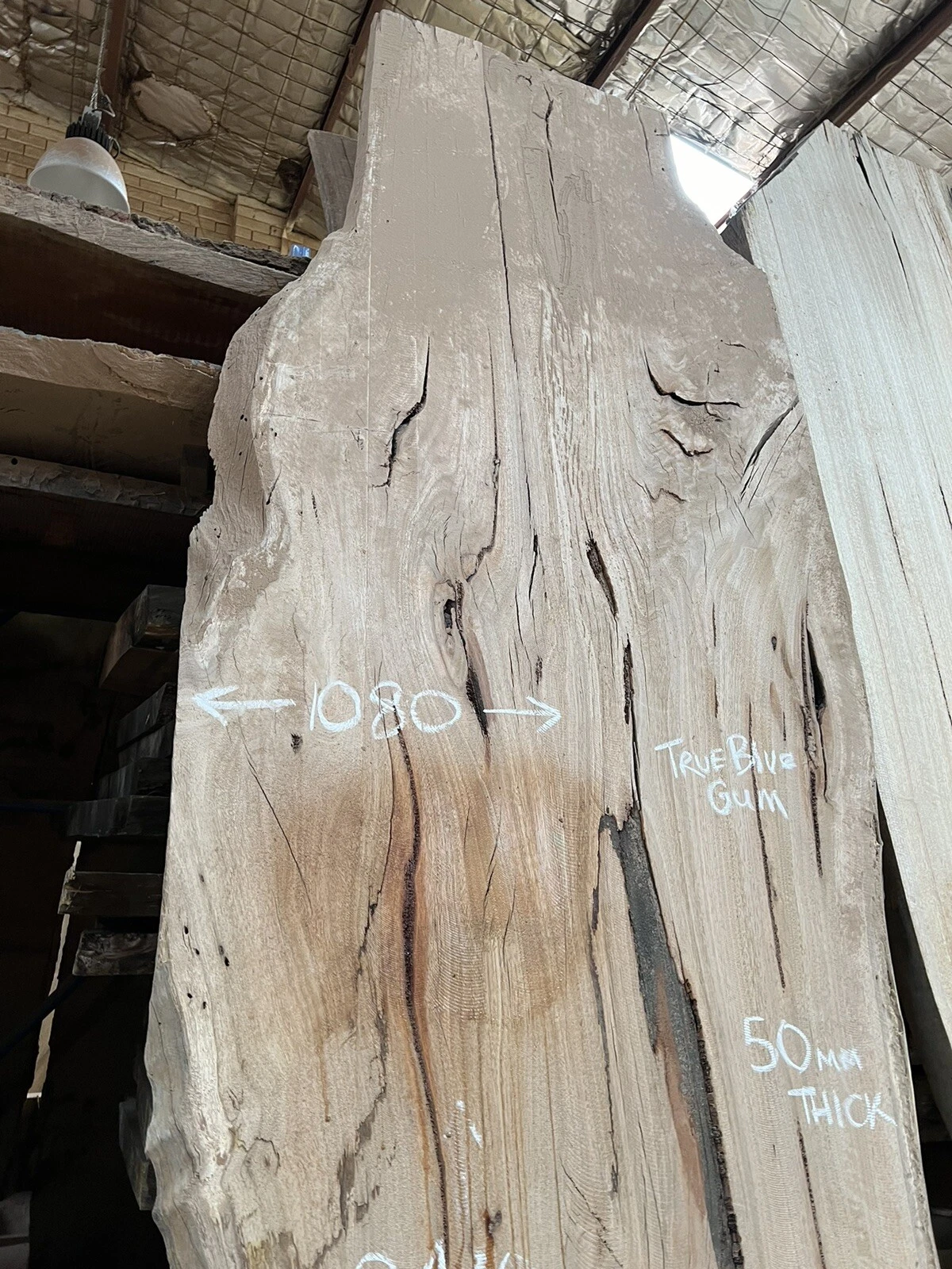 Blue Gum Timber Slab - 3.41m, GNT4234 - Image 7