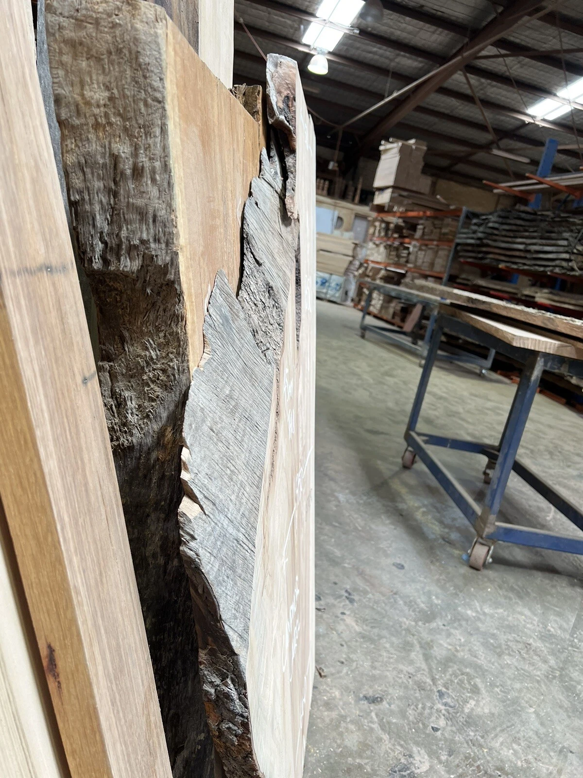 Camphor Laurel Timber Slab - 1.35m Long, GNT4290 - Image 3