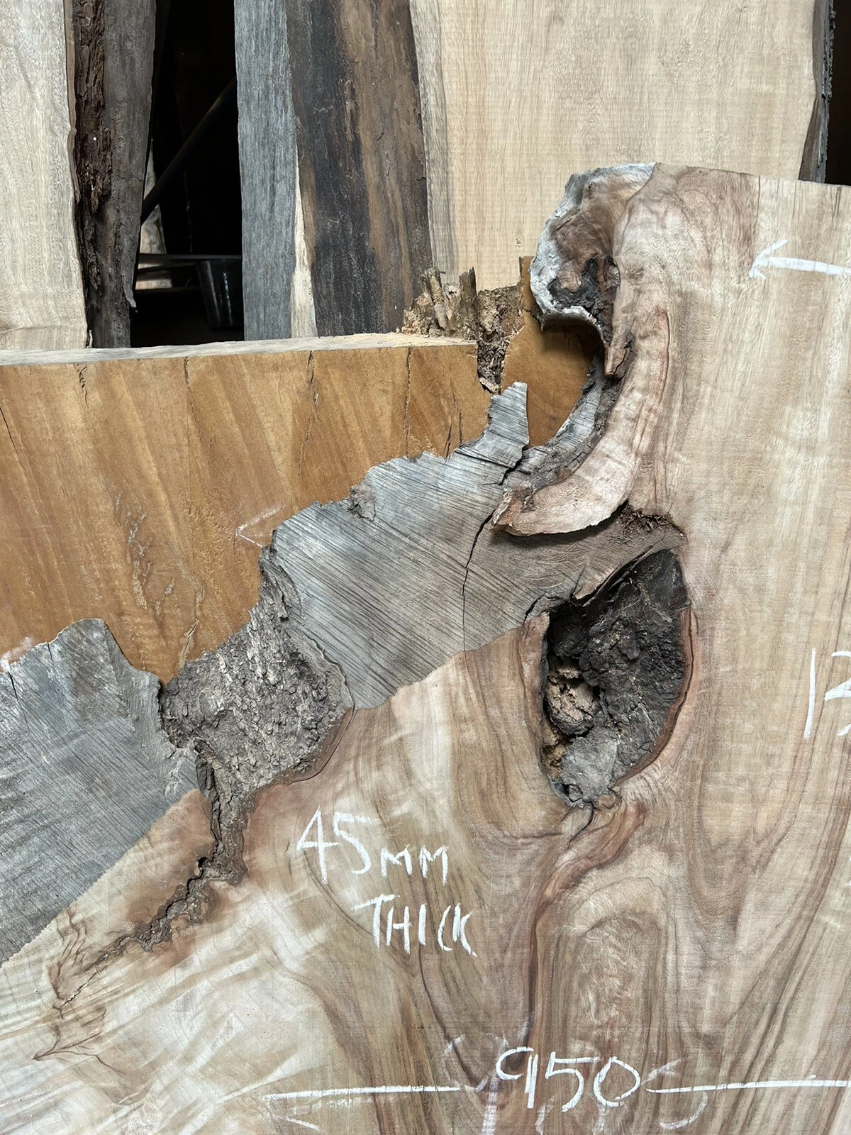Camphor Laurel Timber Slab - 1.35m Long, GNT4290 - Image 4