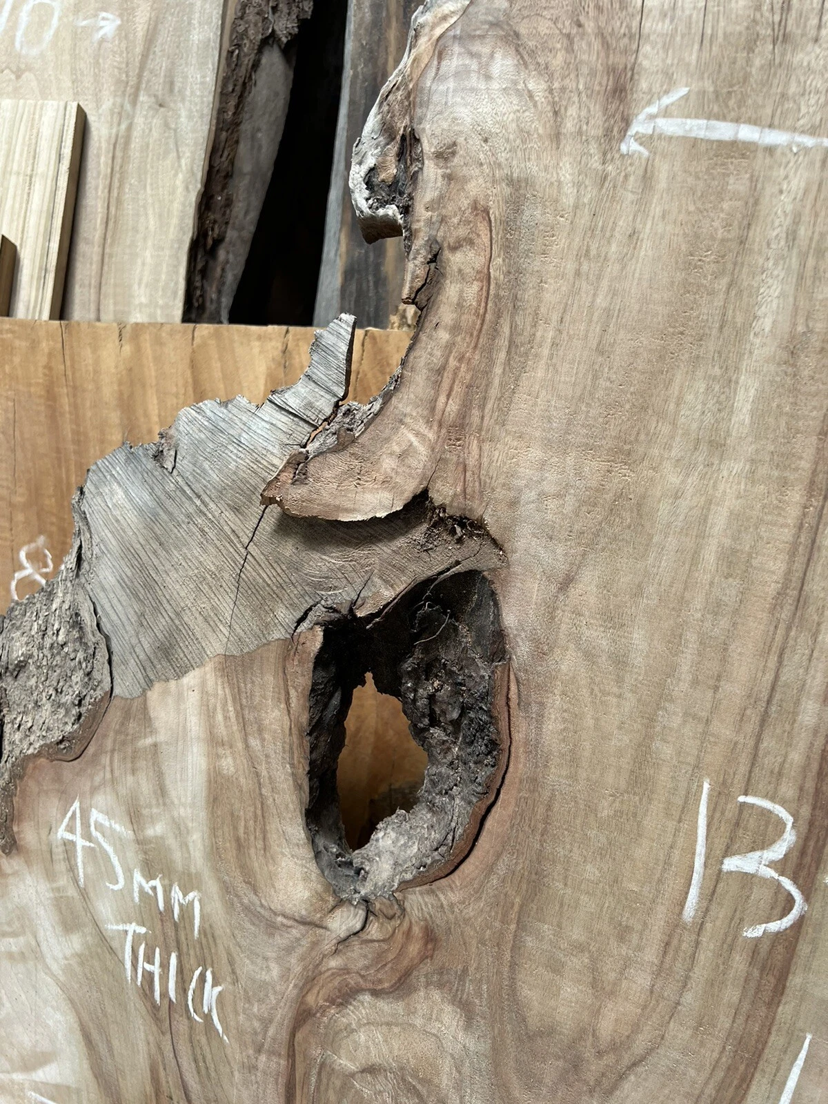 Camphor Laurel Timber Slab - 1.35m Long, GNT4290 - Image 5