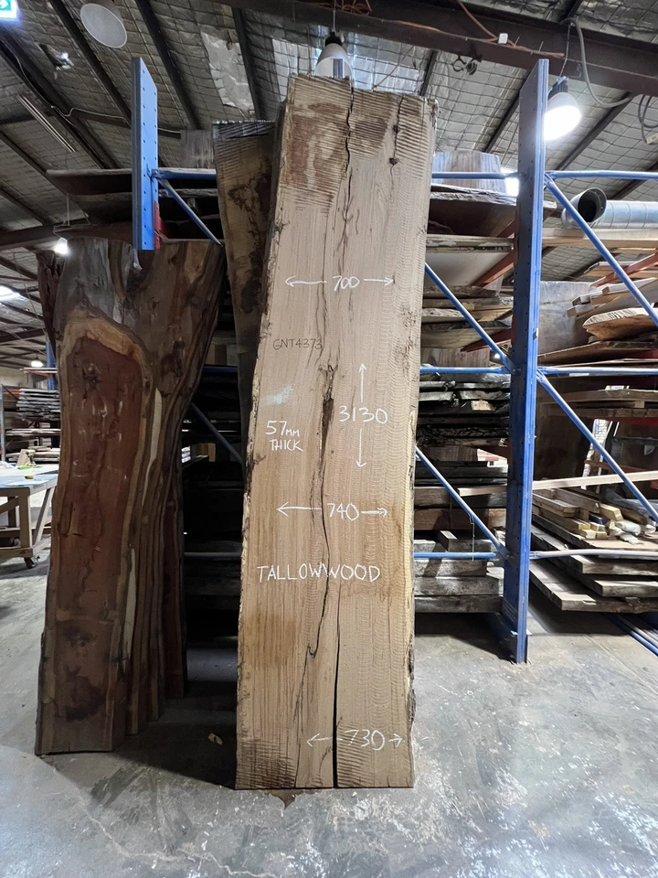 Tallowwood Timber Slab - 3.13m, GNT4373 - Image 2
