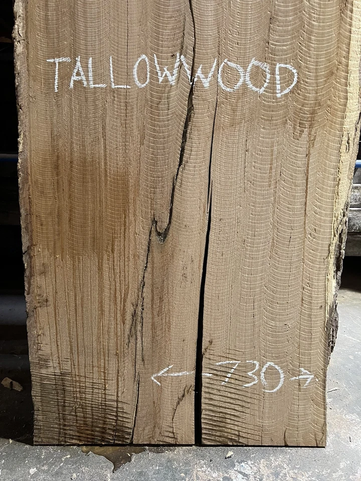 Tallowwood Timber Slab - 3.13m, GNT4373 - Image 3