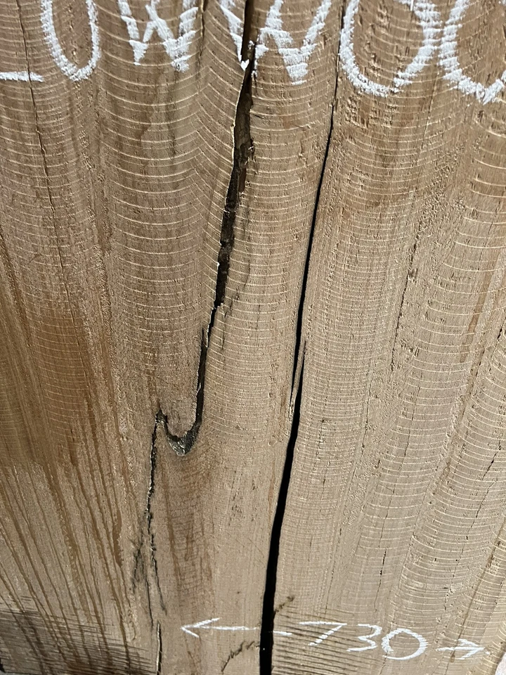 Tallowwood Timber Slab - 3.13m, GNT4373 - Image 4
