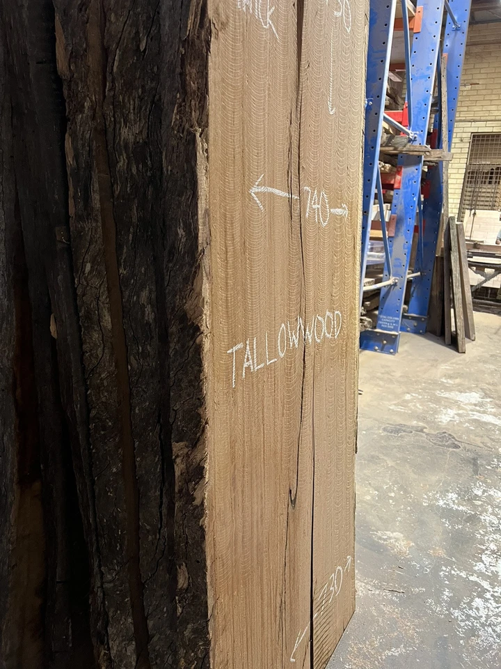Tallowwood Timber Slab - 3.13m, GNT4373 - Image 5