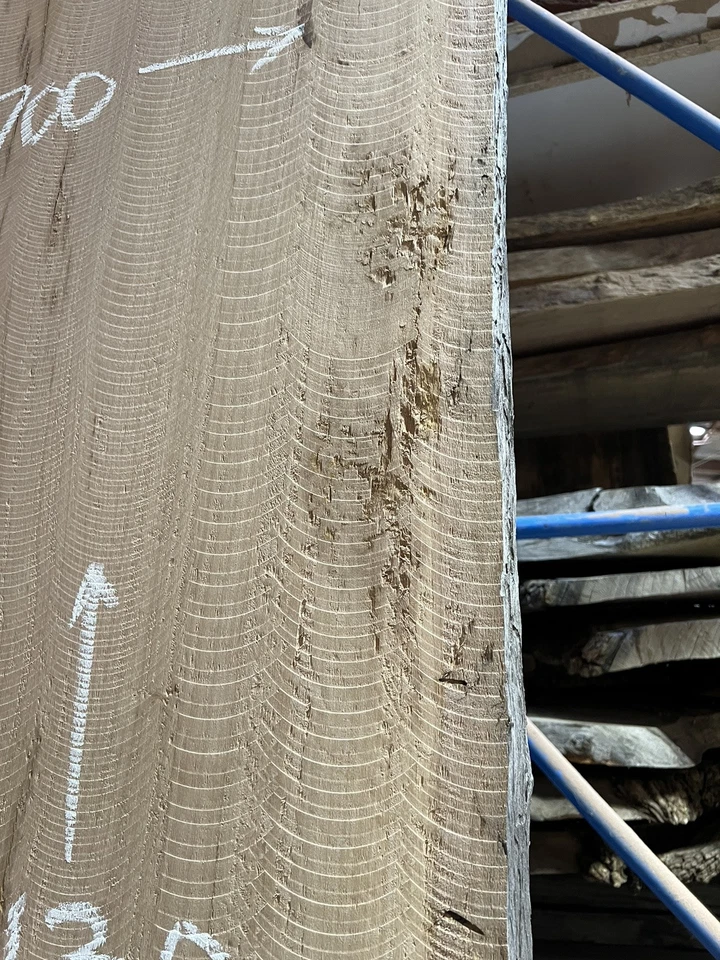 Tallowwood Timber Slab - 3.13m, GNT4373 - Image 7