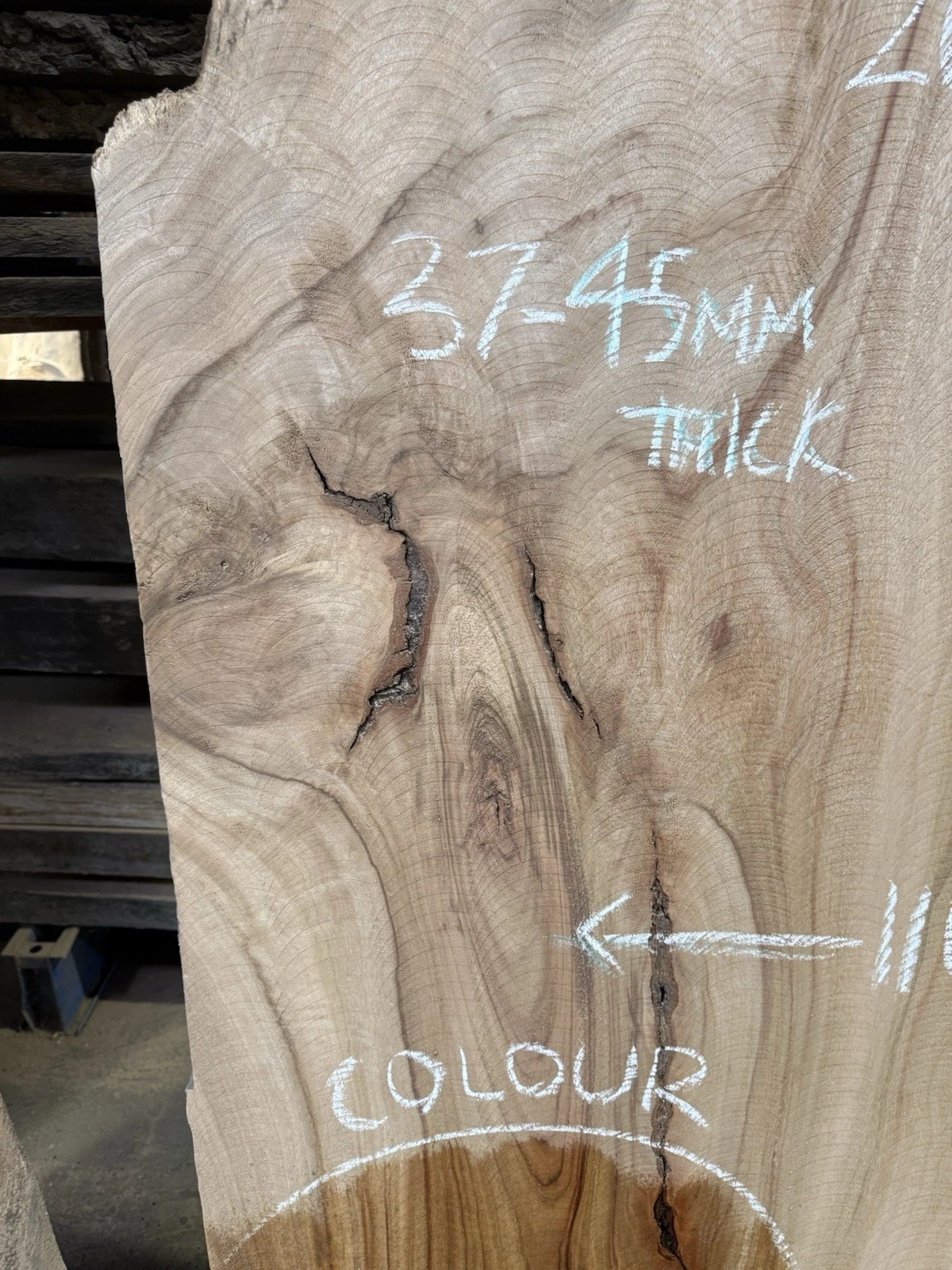 Camphor Laurel Timber Slab - 2.6m Long, GNT4464 - Image 3