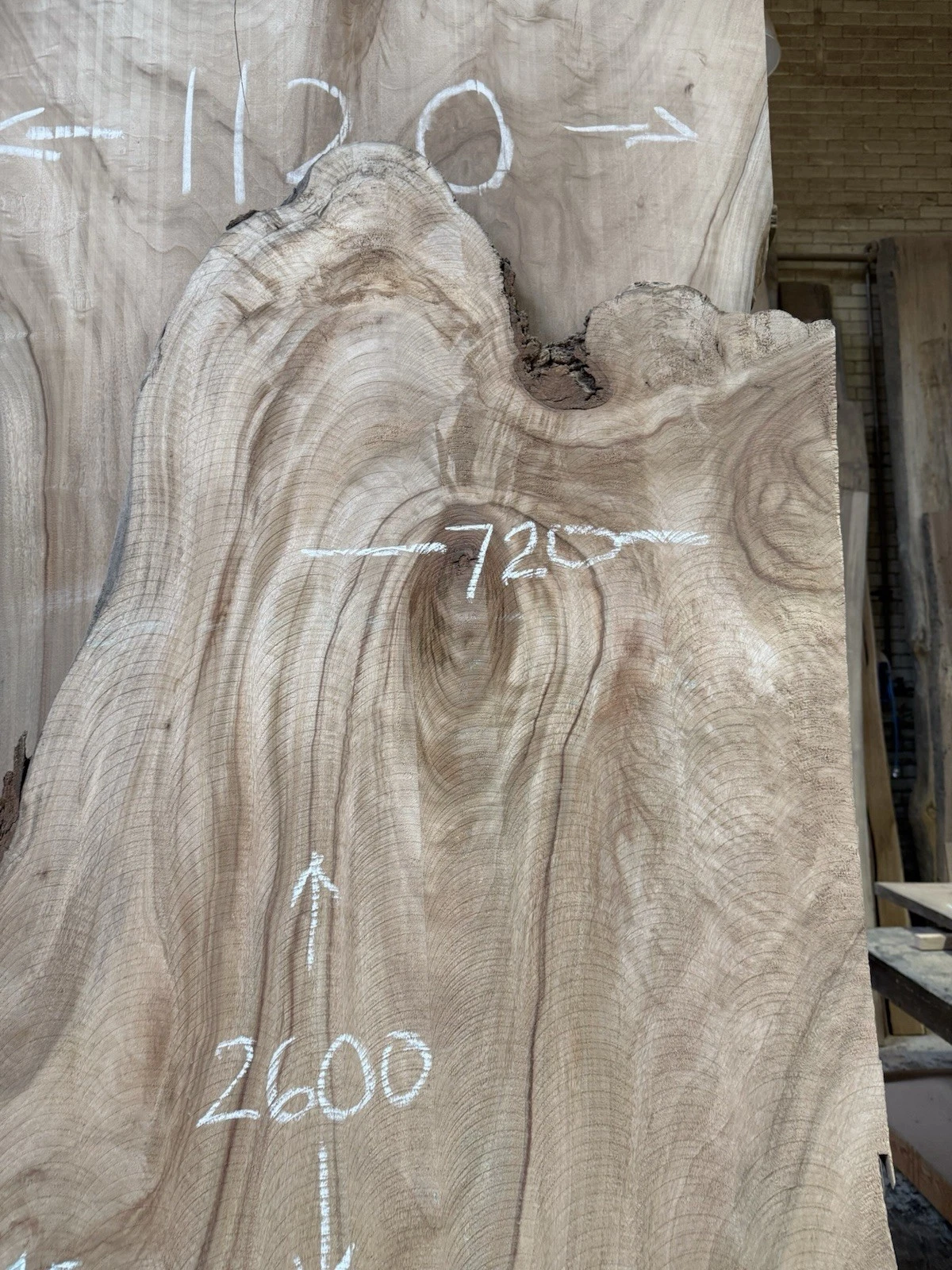 Camphor Laurel Timber Slab - 2.6m Long, GNT4464 - Image 4
