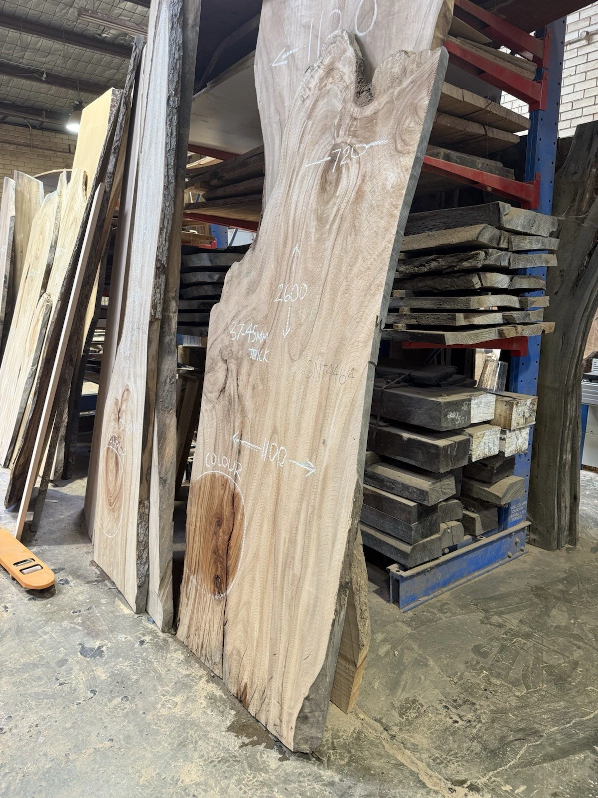 Camphor Laurel Timber Slab - 2.6m Long, GNT4464 - Image 5