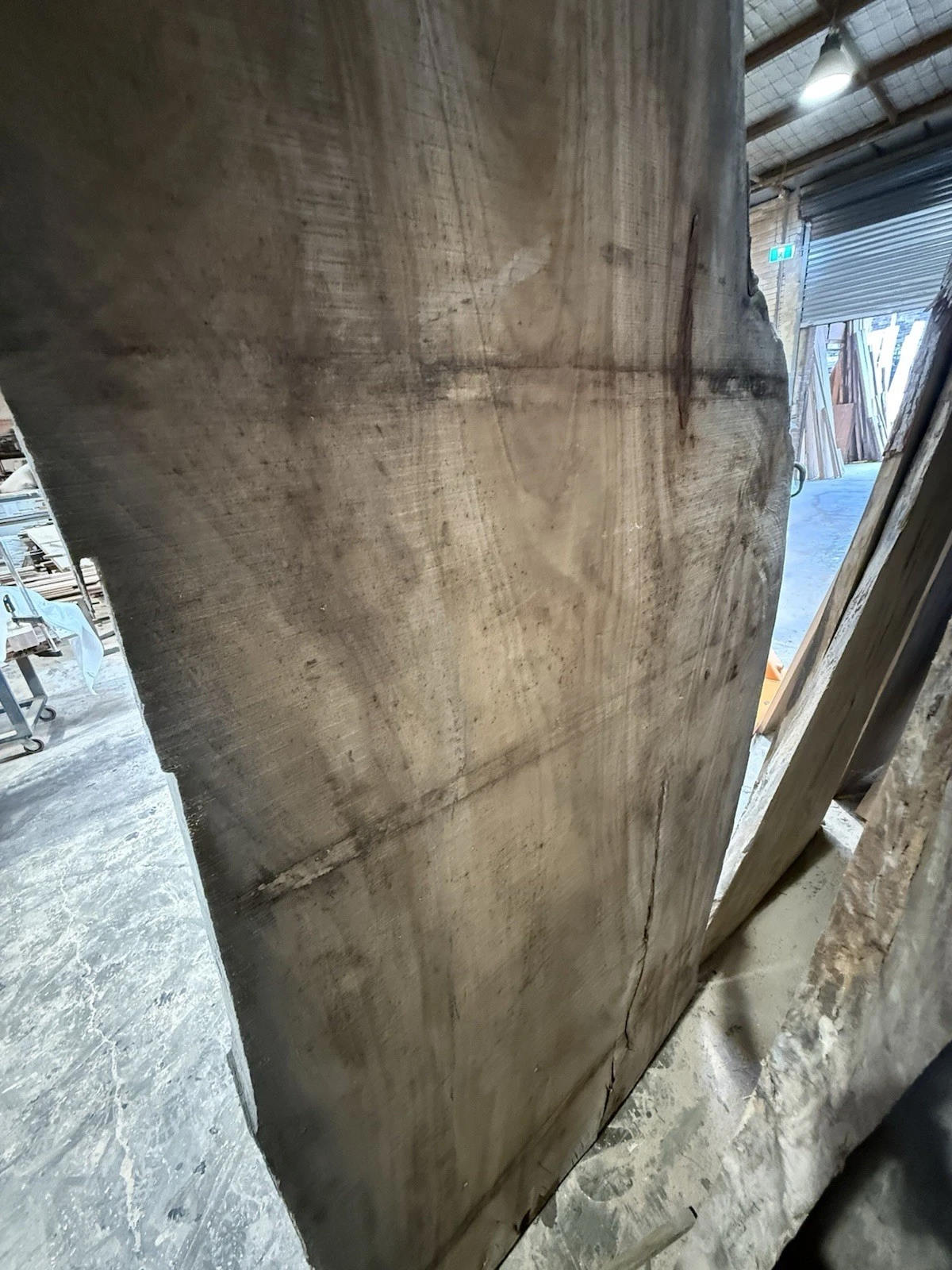 Camphor Laurel Timber Slab - 2.6m Long, GNT4464 - Image 7