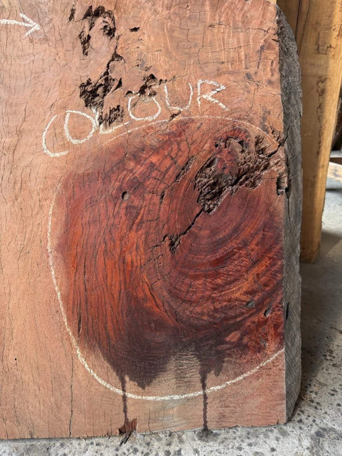 Blue Gum Timber Slab - 1.68m Long, GNT4470 - Image 2