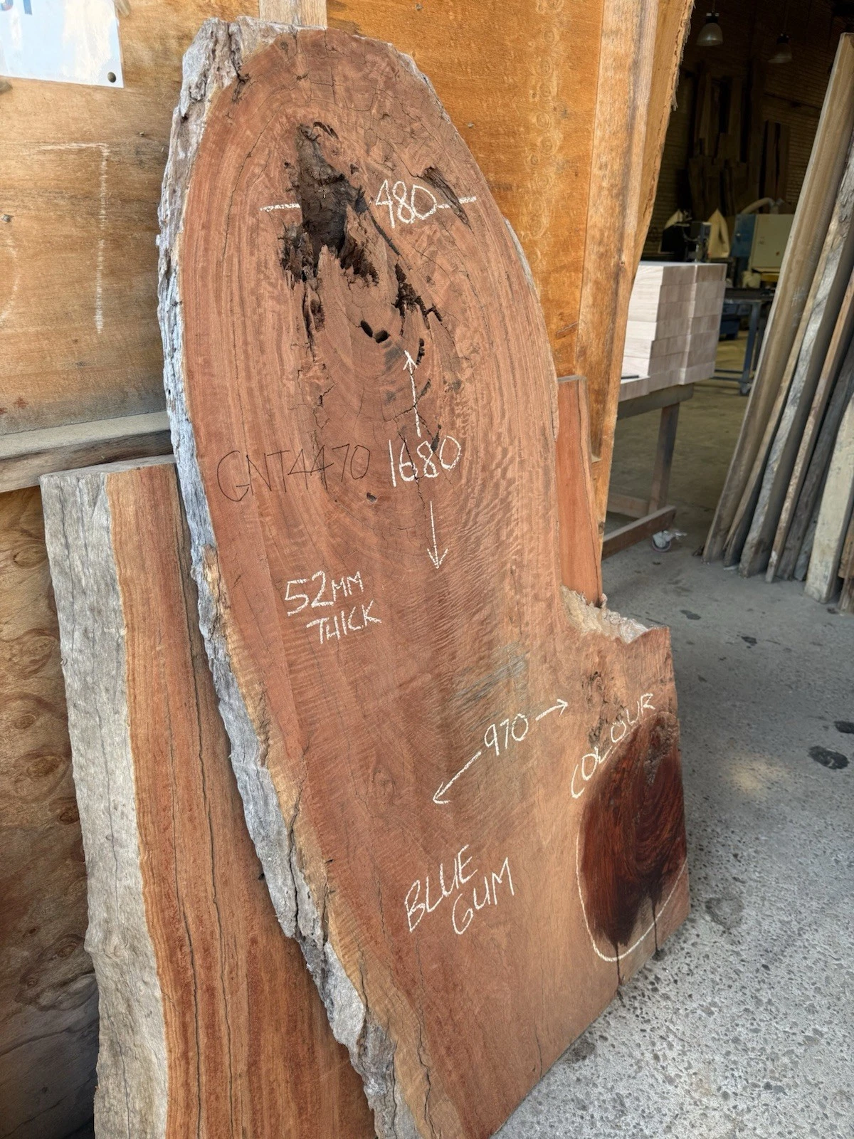 Blue Gum Timber Slab - 1.68m Long, GNT4470 - Image 3
