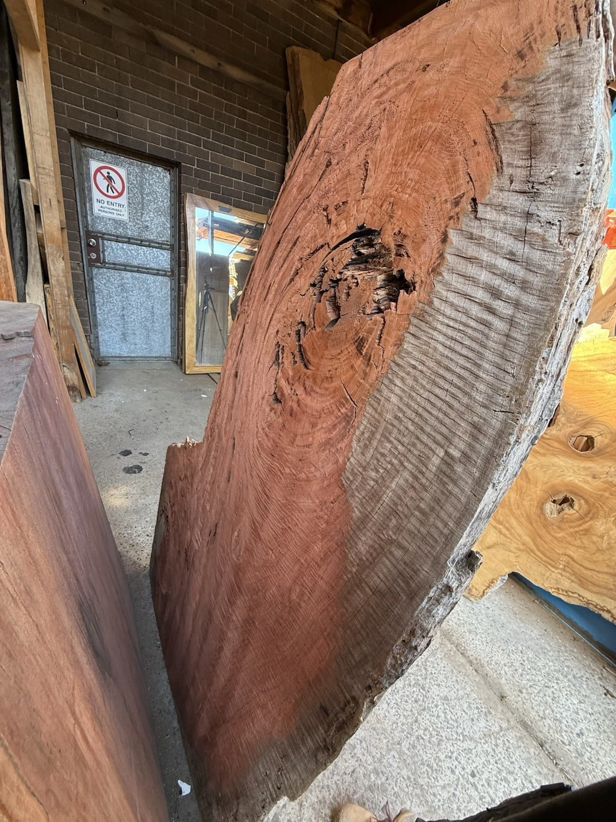 Blue Gum Timber Slab - 1.68m Long, GNT4470 - Image 5