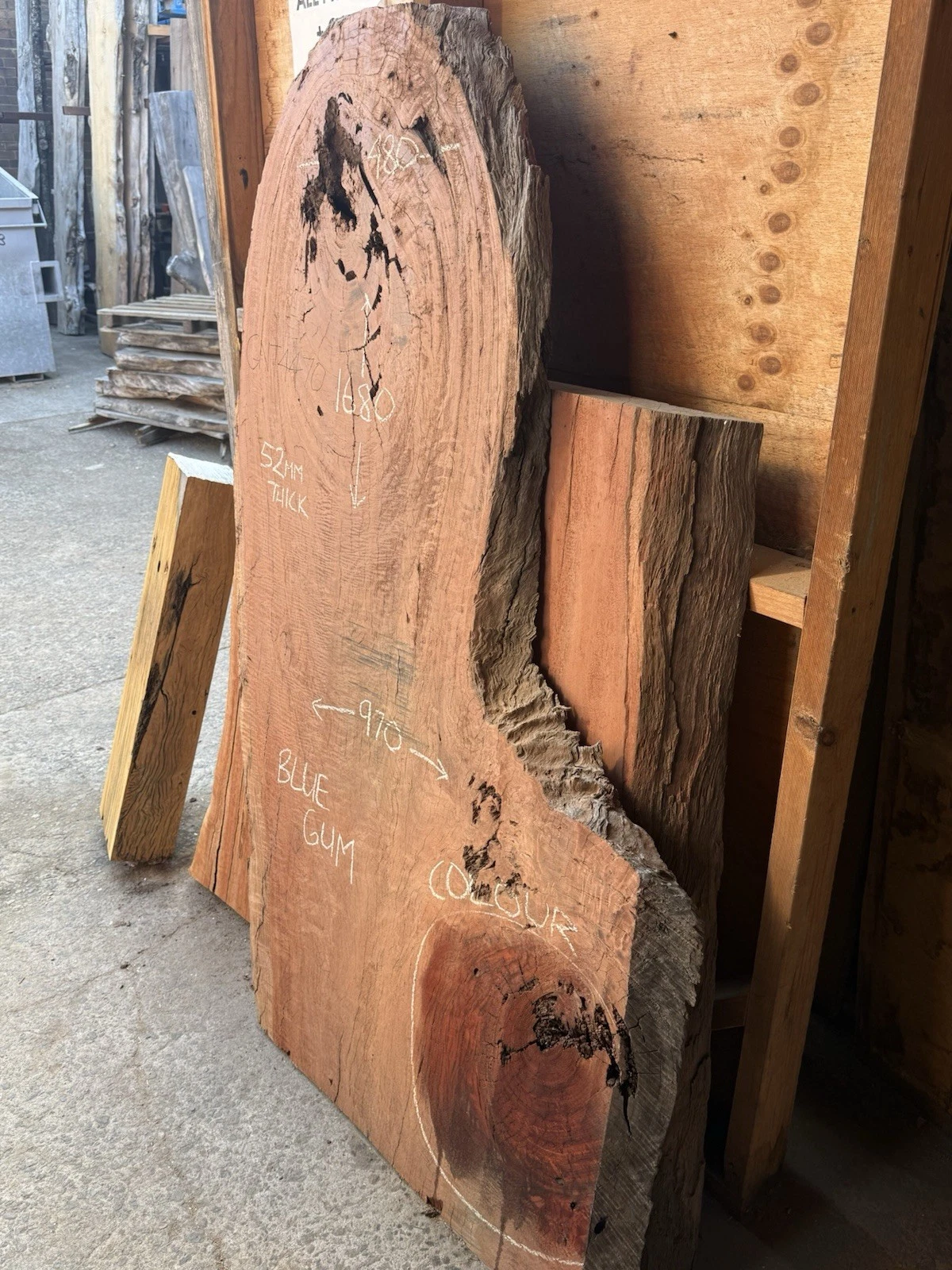 Blue Gum Timber Slab - 1.68m Long, GNT4470 - Image 6